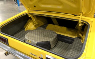 Ford-Torino-1970-Other-19