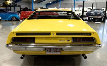 Ford-Torino-1970-Other-6