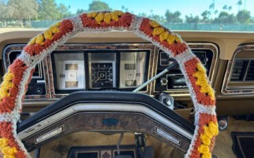 Ford-bronco-1979-brown-5