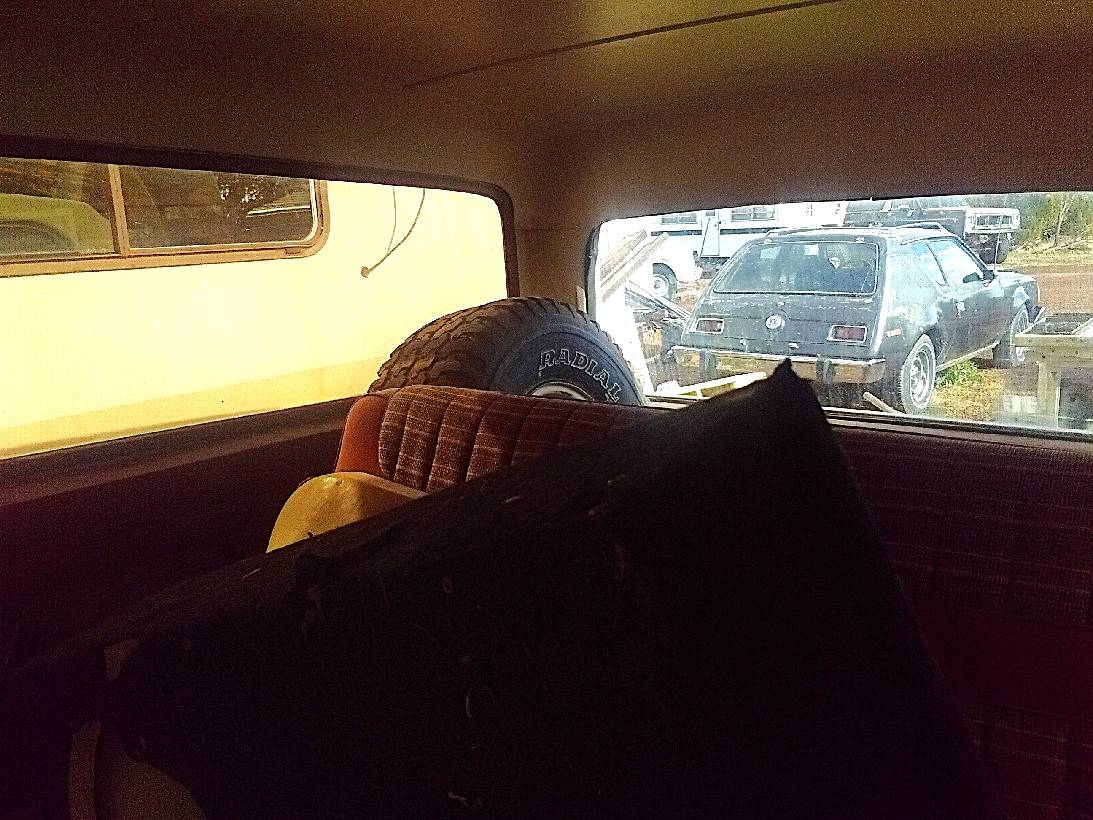 Ford-bronco-1983-black-10