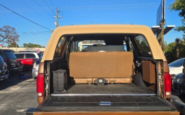 Ford-bronco-1987-brown-1
