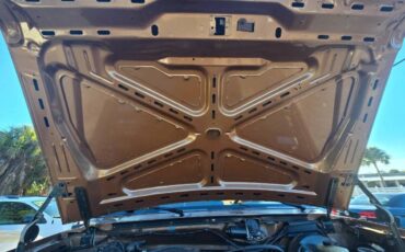 Ford-bronco-1987-brown-4