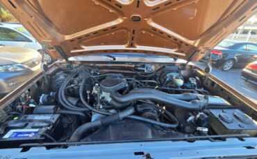 Ford-bronco-1987-brown-7