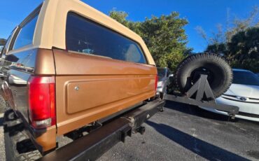 Ford-bronco-1987-brown-9