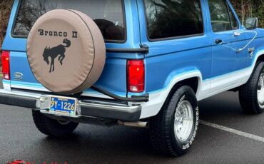 Ford-bronco-eddie-bauer-1986-13