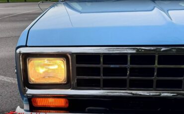 Ford-bronco-eddie-bauer-1986-3