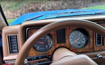 Ford-bronco-eddie-bauer-1986-6