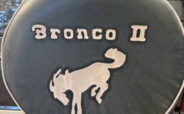 Ford-bronco-ii-1988-brown-3