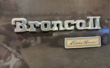 Ford-bronco-ii-1988-brown-5