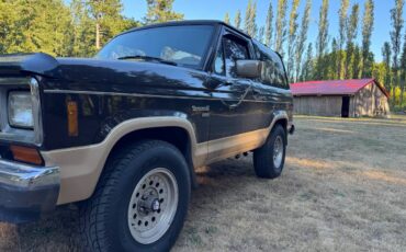 Ford-bronco-ii-1988-brown-8