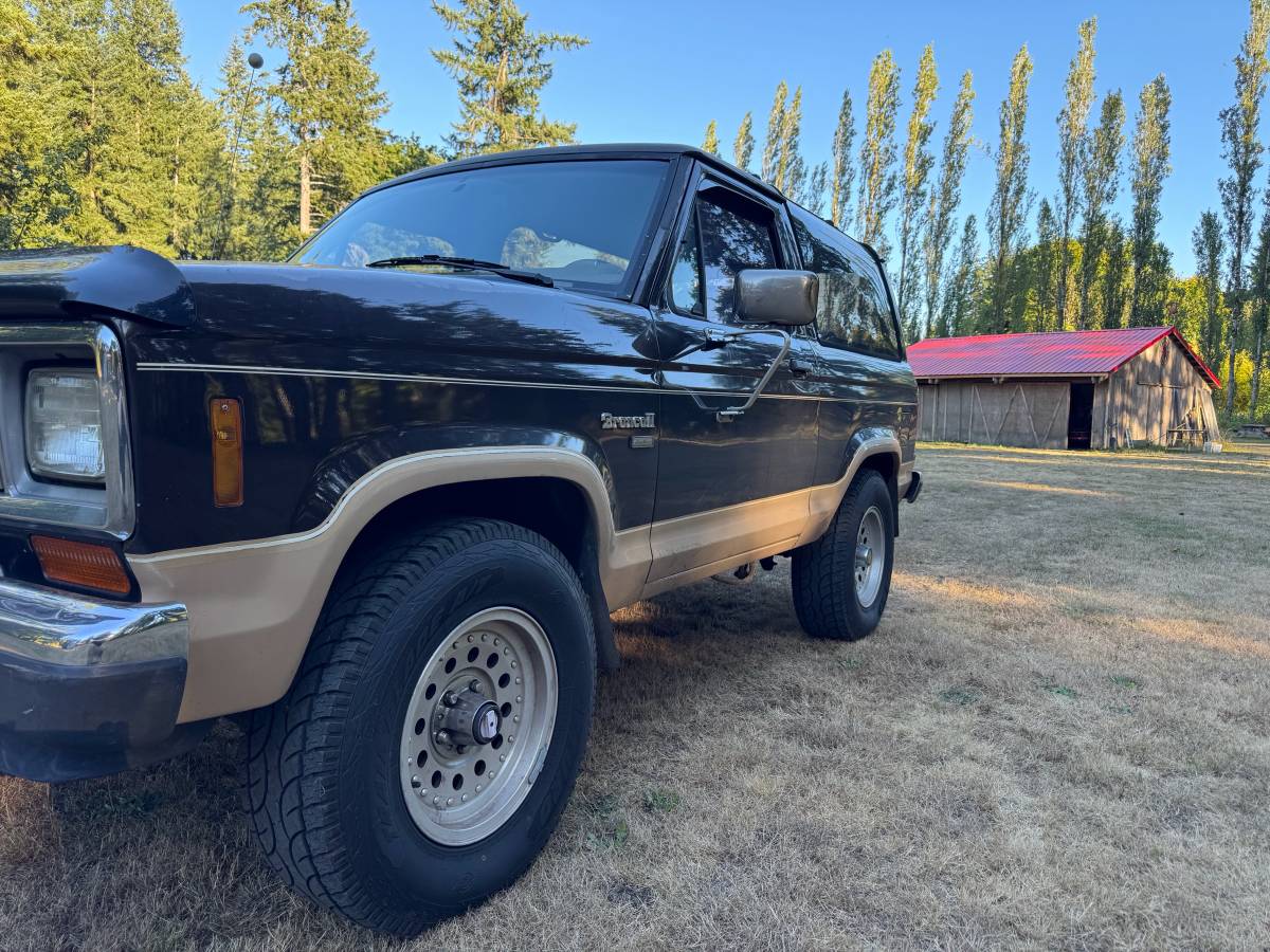 Ford-bronco-ii-1988-brown-8