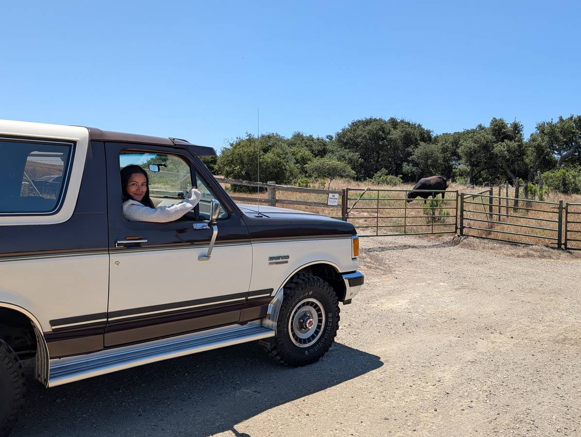 Ford-bronco-xlt-1989-brown-13