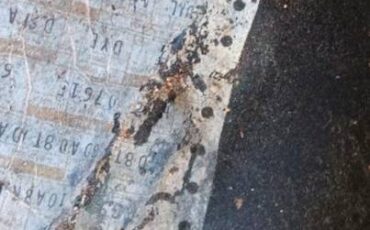 Ford-bronco-xlt-ranger-1979-8