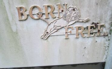 Ford-chateau-camper-special-motorhome-1977-white-5