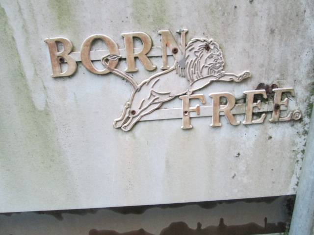 Ford-chateau-camper-special-motorhome-1977-white-5