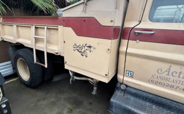 Ford-commercial-f-600-super-duty-1969-brown-1