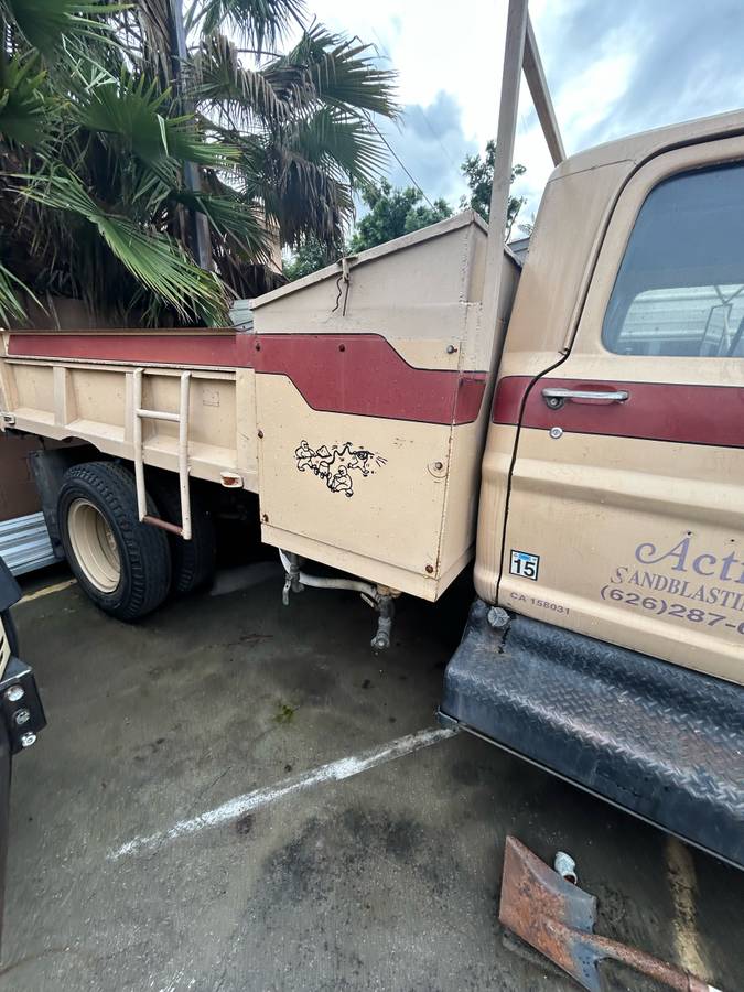 Ford-commercial-f-600-super-duty-1969-brown-1