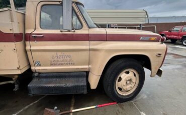 Ford-commercial-f-600-super-duty-1969-brown