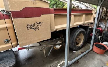 Ford-commercial-f-600-super-duty-1969-brown-5