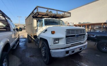 Ford-commercial-f-600-super-duty-1992-white-11