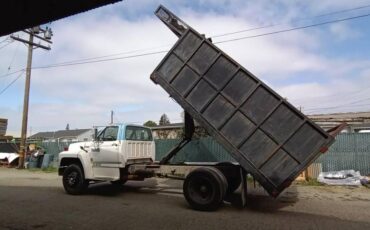 Ford-commercial-f-600-super-duty-1992-white-14