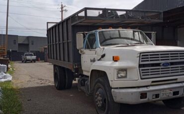 Ford-commercial-f-600-super-duty-1992-white-18