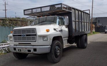 Ford-commercial-f-600-super-duty-1992-white-19