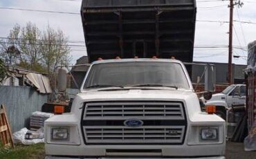 Ford-commercial-f-600-super-duty-1992-white-2