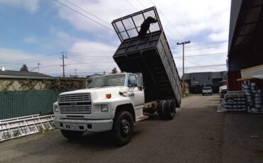 Ford-commercial-f-600-super-duty-1992-white-4