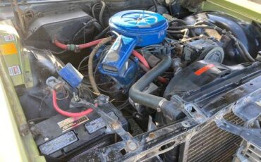 Ford-custom-500-1972-7