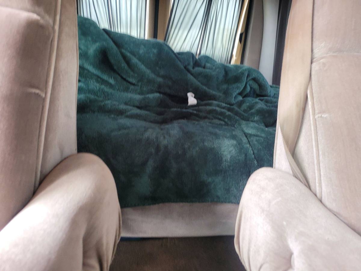 Ford-e150-econoline-1995-blue-1