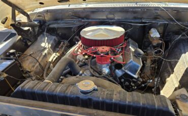 Ford-f-150-1969-white-5