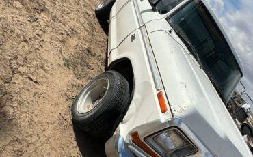 Ford-f-150-1978-white