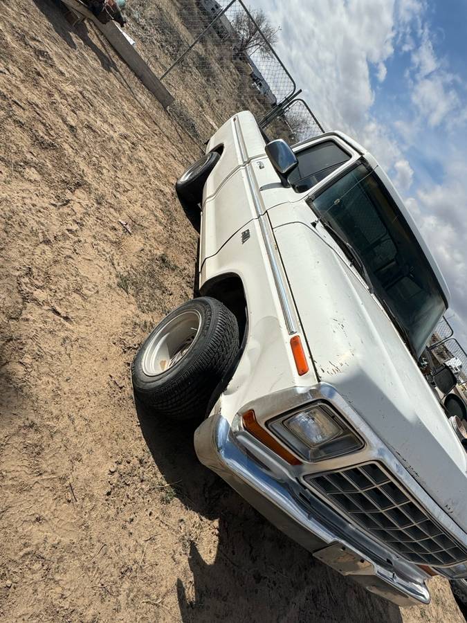 Ford-f-150-1978-white