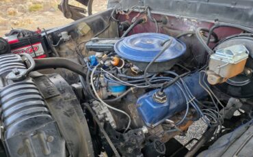 Ford-f-150-1979-black-3