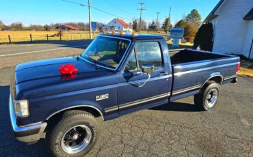 Ford-f-150-1988-blue-1