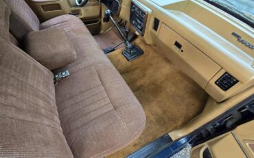 Ford-f-150-1988-blue-17