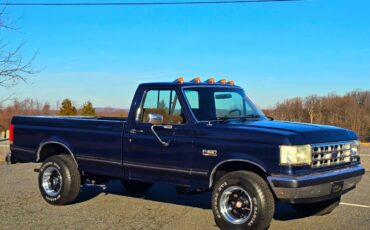 Ford-f-150-1988-blue