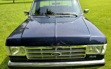 Ford-f-150-1988-blue-9