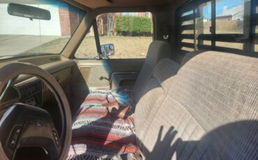 Ford-f-150-1988-brown-2