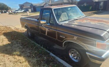 Ford-f-150-1988-brown