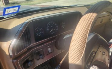 Ford-f-150-1988-brown-4
