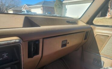 Ford-f-150-1988-brown-6