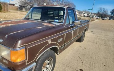 Ford-f-150-1988-brown-8