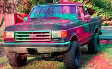 Ford-f-150-1988-grey-6