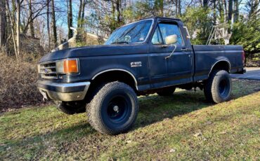 Ford-f-150-1988-grey