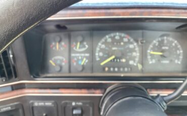 Ford-f-150-1989-blue-12