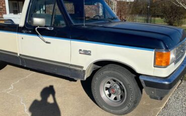 Ford-f-150-1989-blue-8