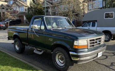 Ford-f-150-1995