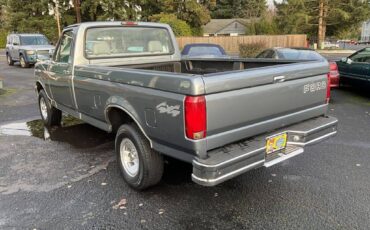 Ford-f-150-1995-silver-1